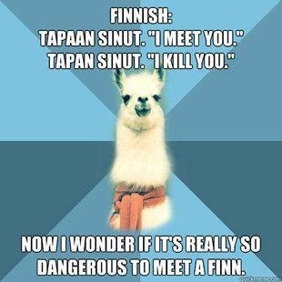 Мем о финском языке