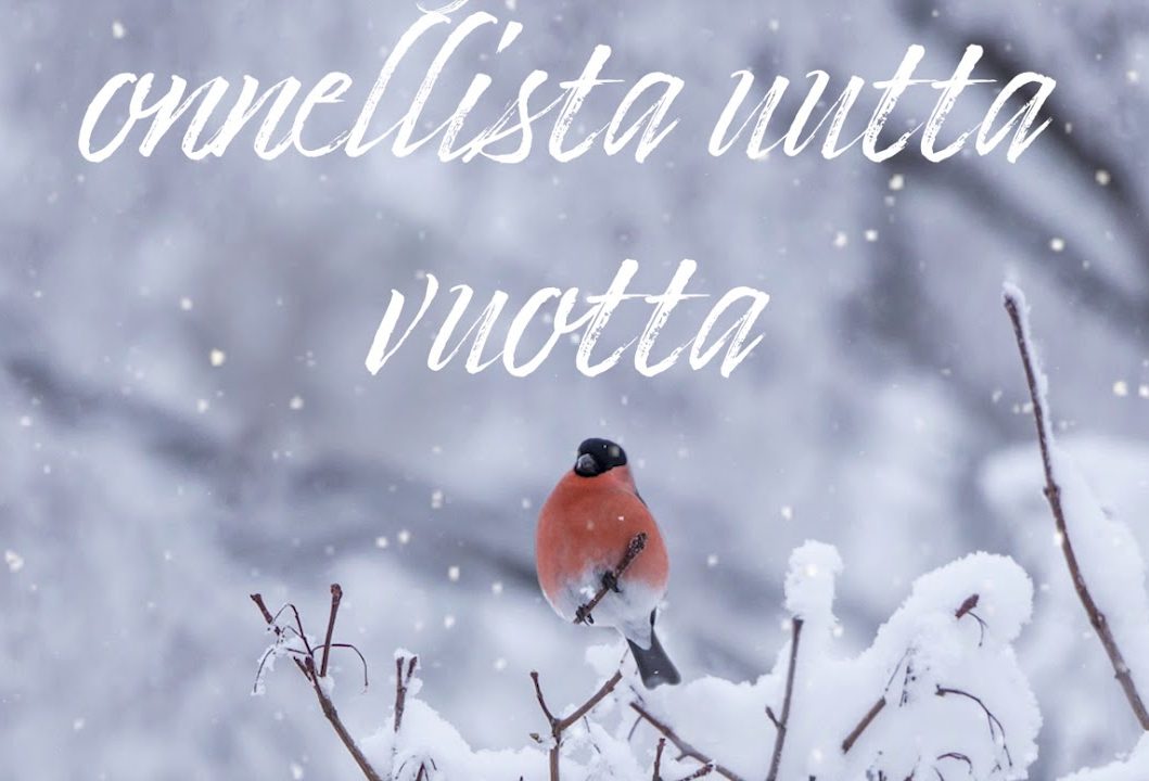 Новогодняя открытка со снегирём на финском языке